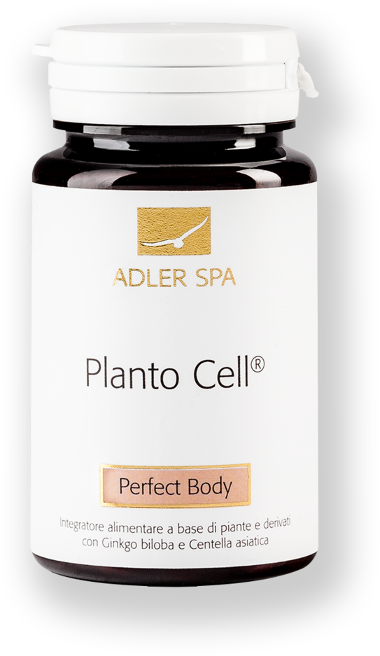 Product Properties - Glass Bottle (828x828), Png Download