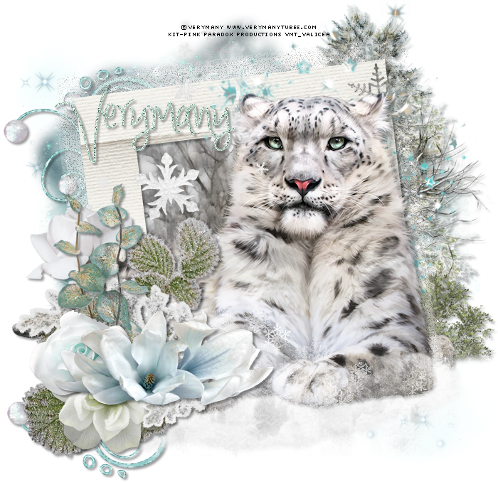Snow Leopard By Verymany Found Here - Snow Leopard (700x678), Png Download