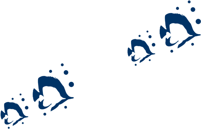 Bf Lt Twice - Fish (900x450), Png Download