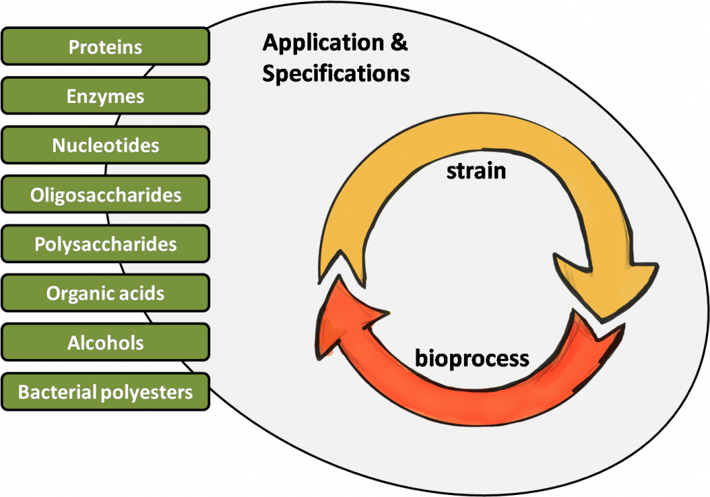 In This Regard, Biopolis Is The Perfect Partner To - Cell (1030x720), Png Download