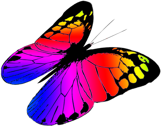 Monarch Butterfly Clipart Three - Colorful Butterflies Flying Png (591x591), Png Download