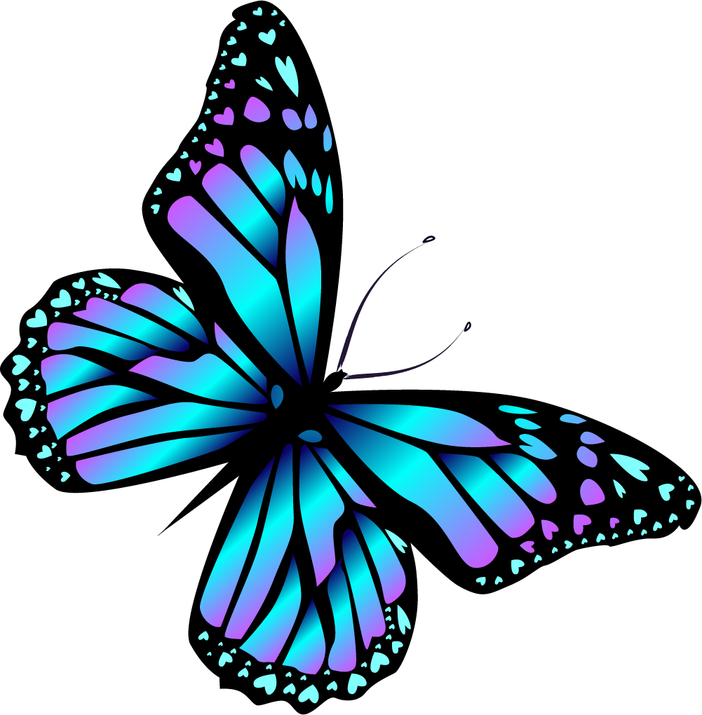 Download Image Result For Cartoon Bugs And Butterflies - Butterfly Png PNG  Image with No Background 