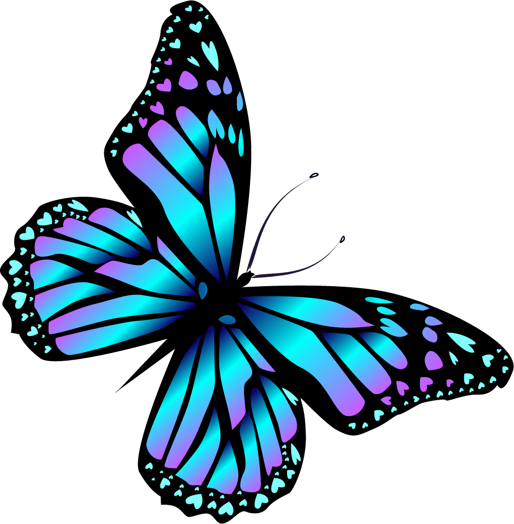 Download Image Result For Cartoon Bugs And Butterflies - Butterfly Png PNG Image with No Background Download Image Result For Cartoon Bugs And Butterflies - Butterfly Png PNG Image with No Background