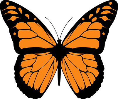 Animal Butterfly Colorful Flight Flying In - Hindi Poem On Butterfly (402x340), Png Download