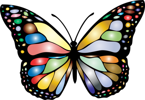 Monarch Butterfly Brush-footed Butterflies Insect Caterpillar (494x340), Png Download