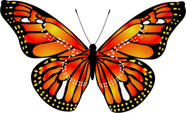 Beautiful Butterfly Sticker Pack Messages Sticker-8 - Blue Monarch Butterfly (618x375), Png Download