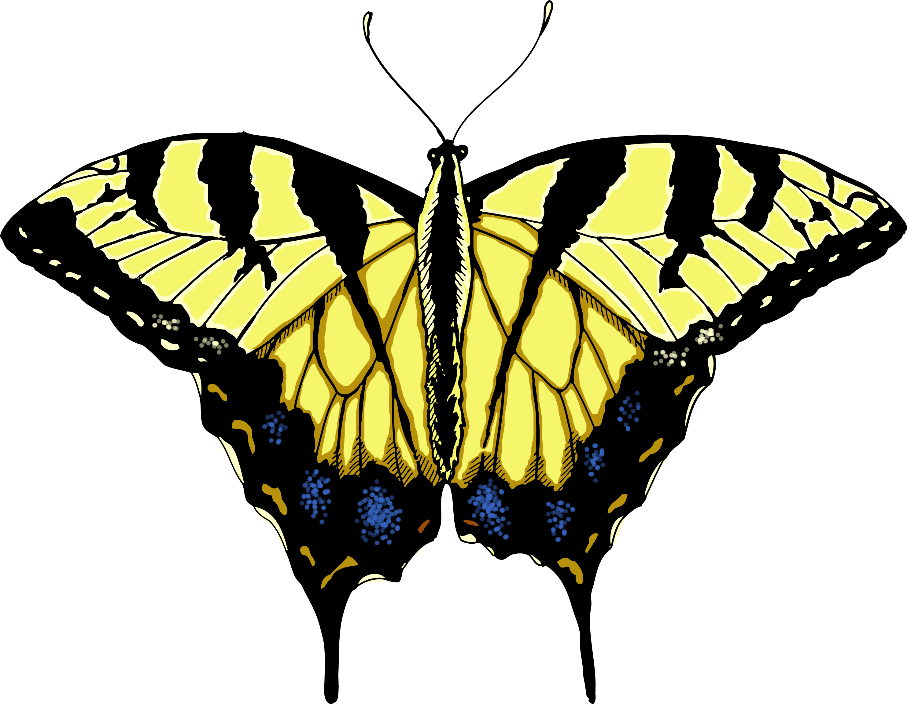 Monarch Butterfly Png - Swallowtail Butterfly Png (3000x2400), Png Download