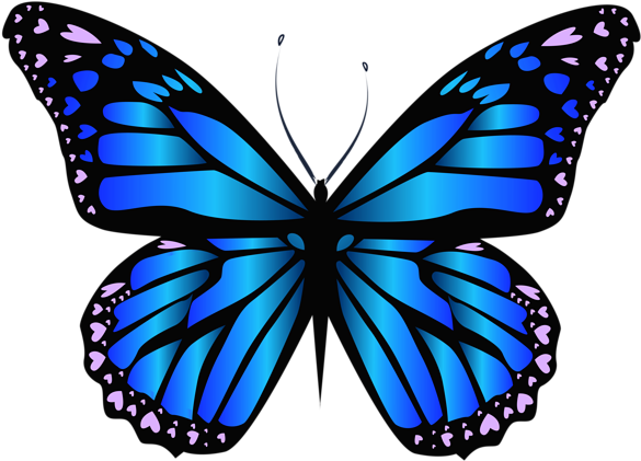 Blue Butterfly Png Clipar Image - Butterfly Png (600x444), Png Download