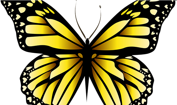 New Moon, Autumn Equinox - Yellow Butterfly Png (600x340), Png Download