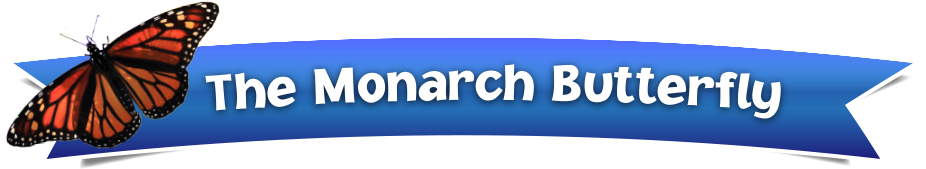 We're Taking Action To Protect The Monarch Butterfly - Monarch Butterfly (941x191), Png Download