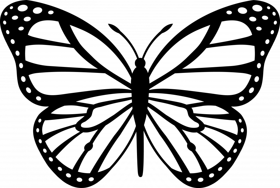 Coloring Pictures Of Flowers And Butterflies Images - Clipart Black And White Butterfly (940x632), Png Download