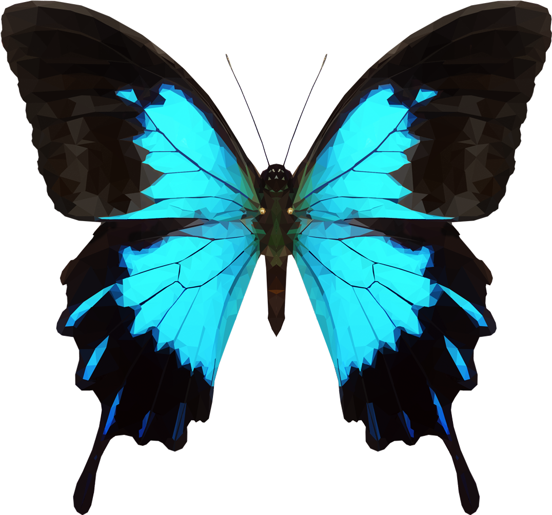 Emmasimoncic - Tumblr - Com - Low Poly Butterfly - - Ulysses Butterfly (1185x1064), Png Download