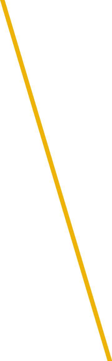 Pointer-0 - Pointing Stick Png (360x1152), Png Download