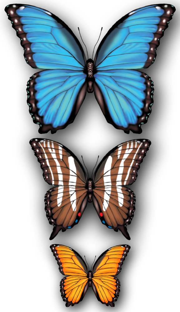 Butterflies - Papilio (577x1000), Png Download
