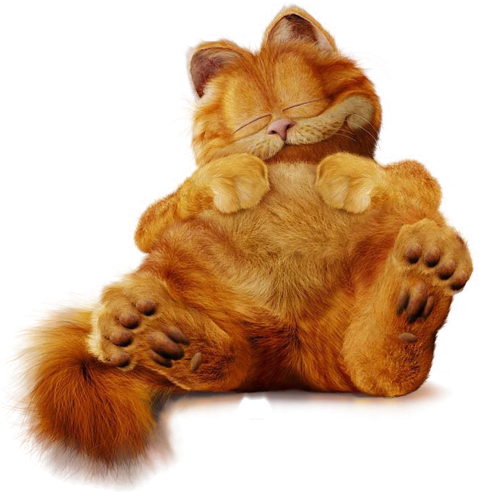 Garfield Movie Png (1024x768), Png Download