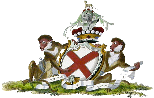 Geraldine Coat Of Arms - Fitzgerald Coat Of Arms (538x351), Png Download