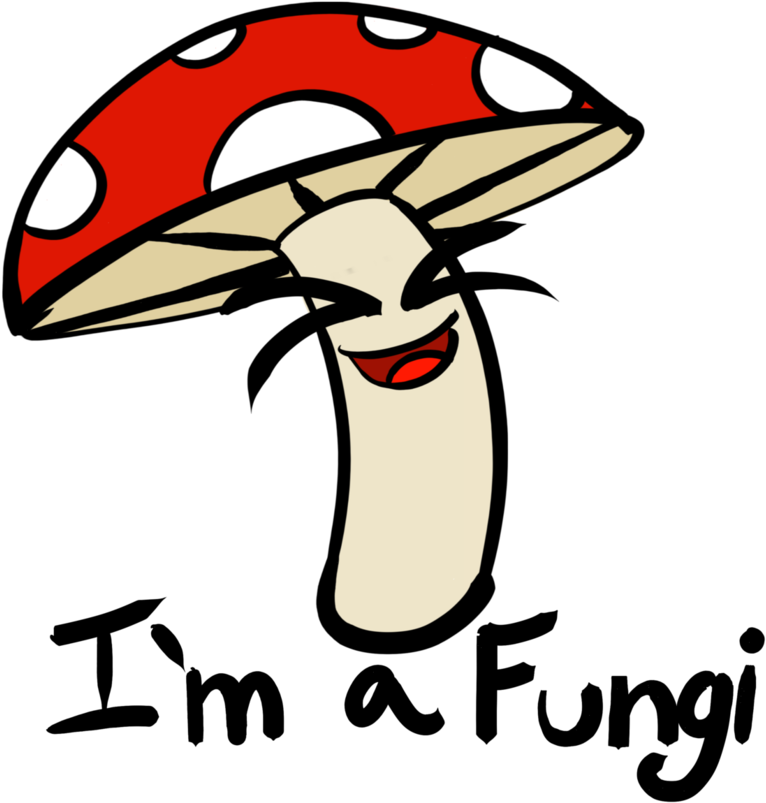 Picture Transparent Champagne Line Art Clip Transprent - Fungi Cartoon (894x894), Png Download