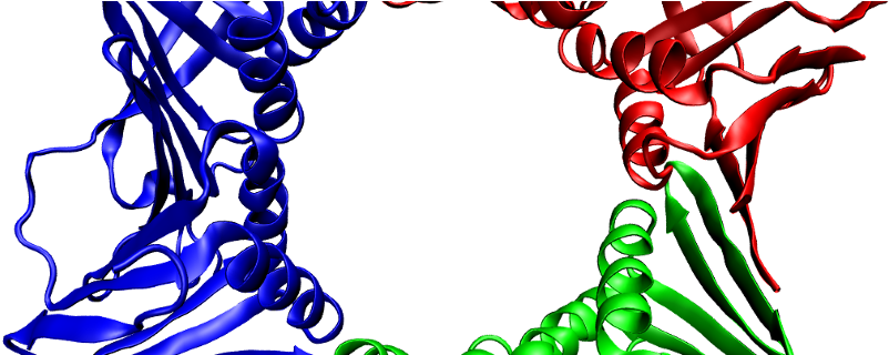 Nwo Projectruimte Grant For Dna Flexibility Research - Proteina Pcna (880x319), Png Download