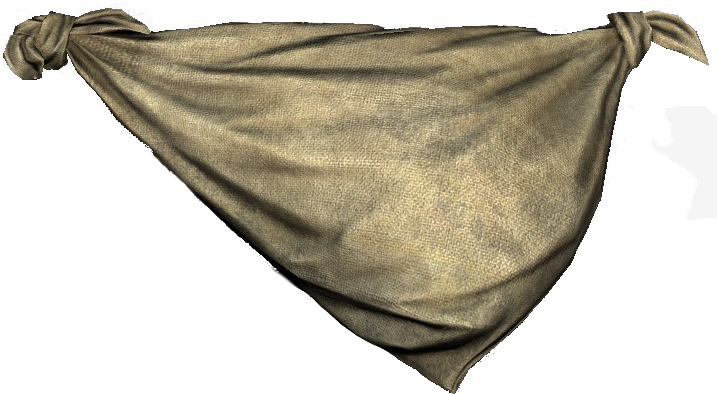 Dayz Taloon Backpack Png (724x406), Png Download
