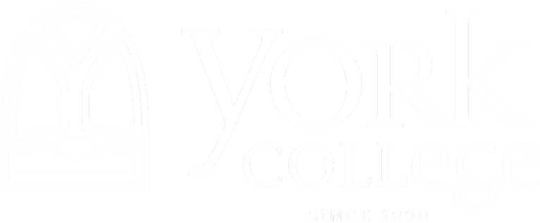 Picture - York College Panthers Logo (873x364), Png Download