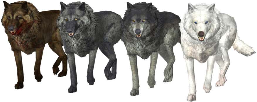 Wolf Pack Free Png Image - Pack Of Wolves Png (1144x698), Png Download
