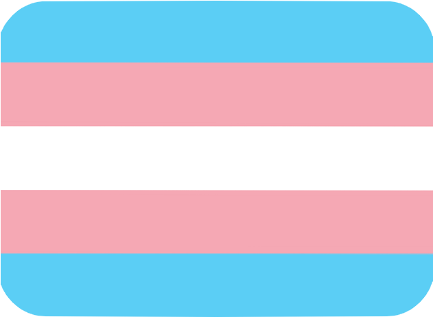 Transgender Pride Flag Discord Emoji - Pride Flag Discord Emojis (630x630), Png Download