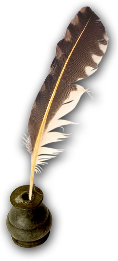 Pluma - Plumas Con Tinta Png (242x532), Png Download