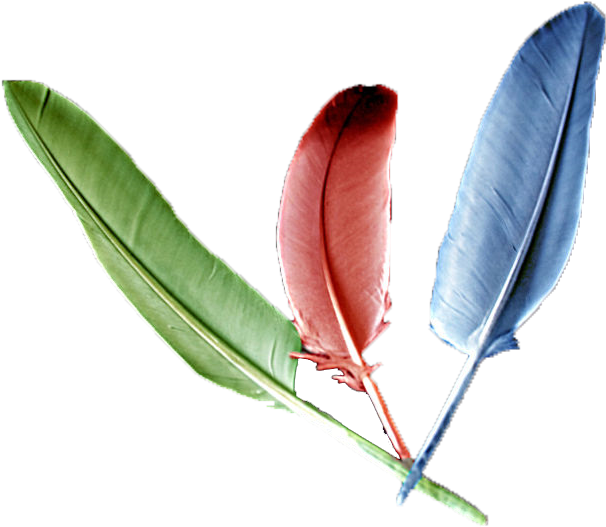 Las Tres Plumas - Memes Descifra El Mensaje (668x562), Png Download