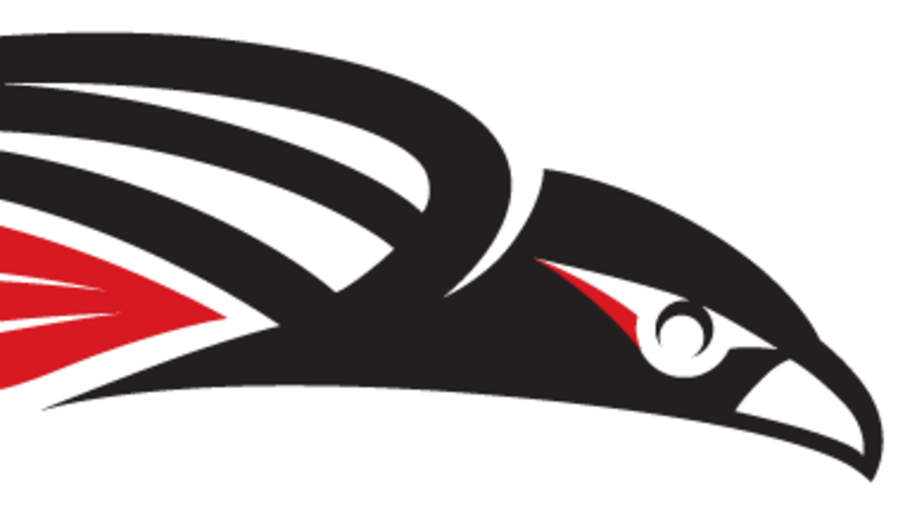 Sou3 - Southern Oregon University Mascot (986x556), Png Download