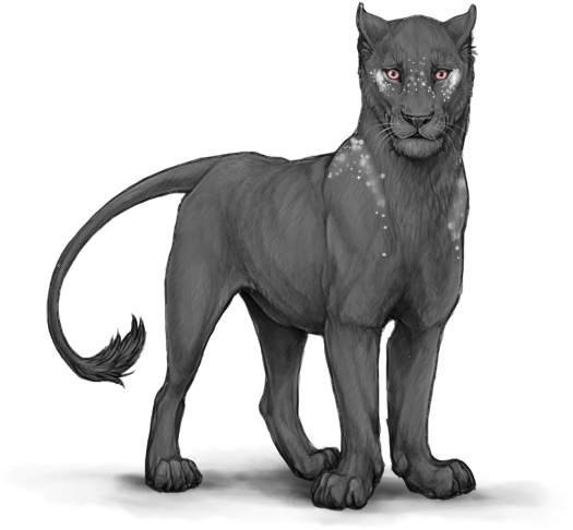 32nnrcc - Portable Network Graphics (640x500), Png Download