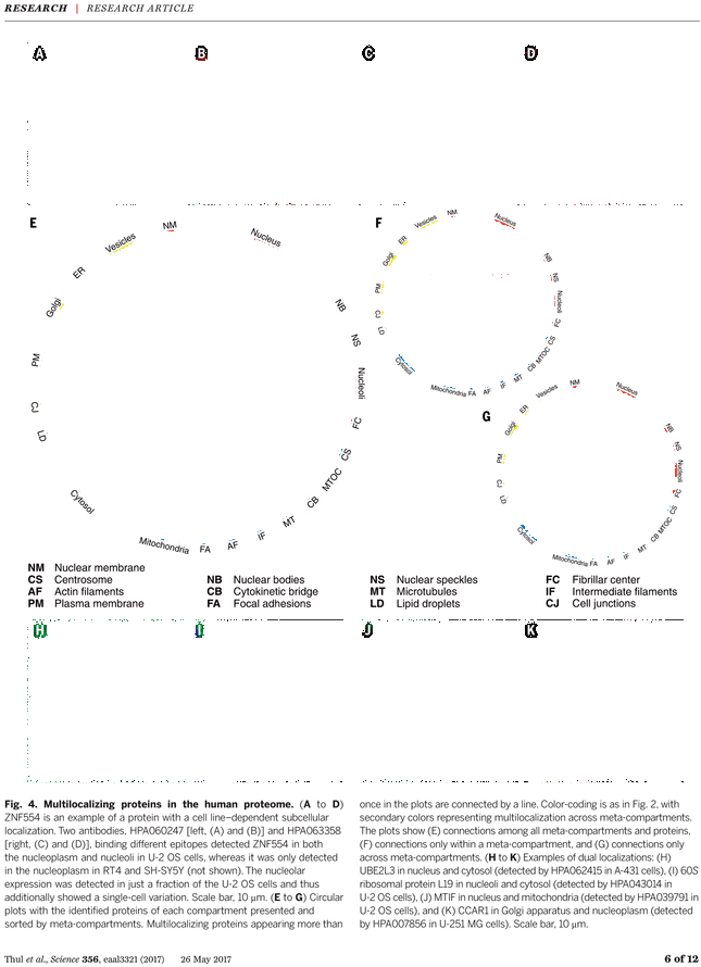 Diagram (729x929), Png Download