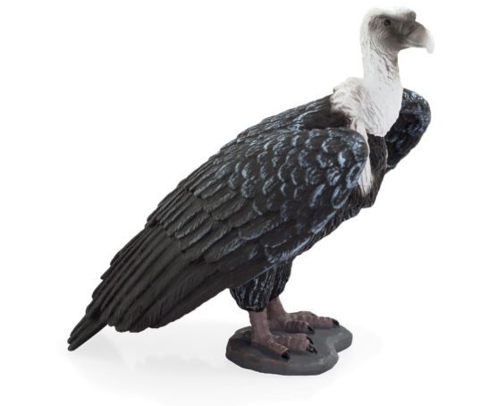 Griffon Vulture - Griffon Vulture Mojo (540x500), Png Download