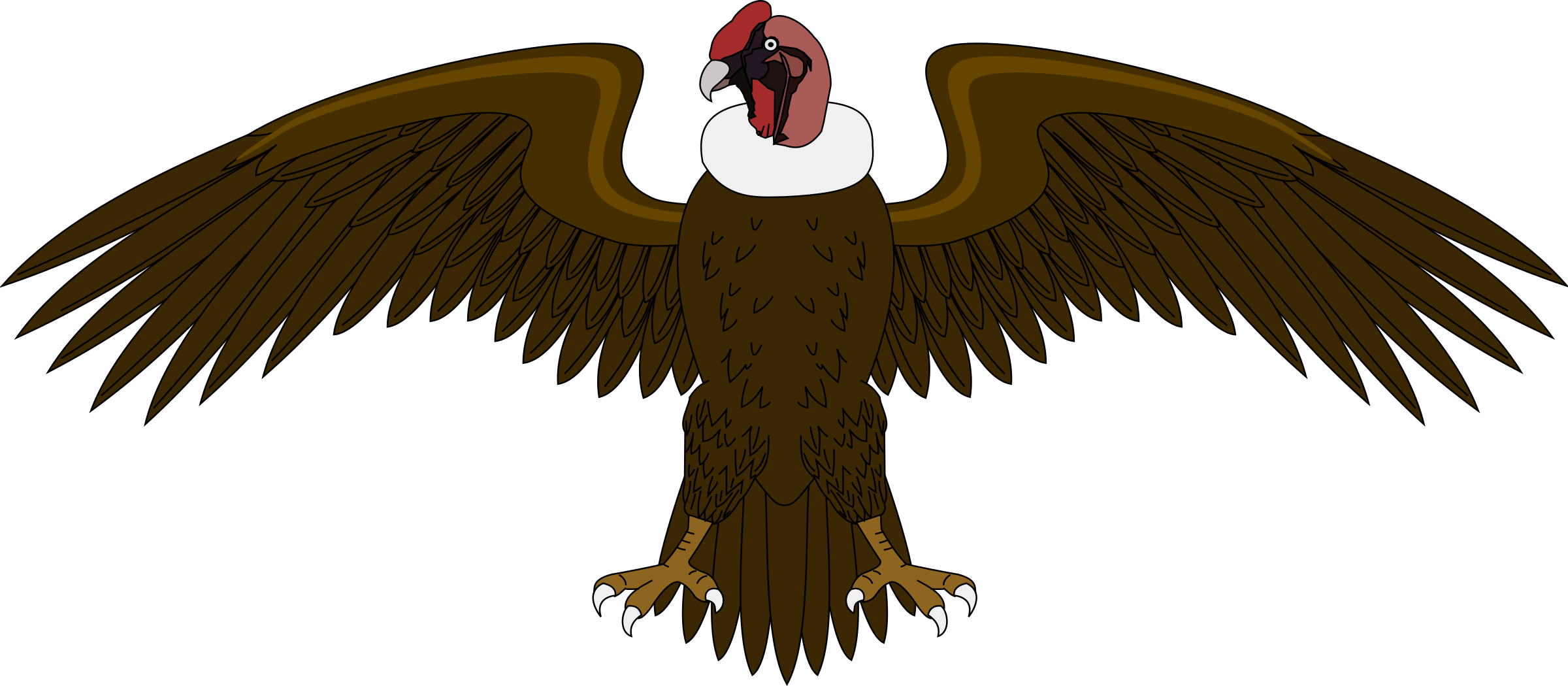 Condor 2 Clip Art Royalty Free Library - El Condor De Colombia (2400x1050), Png Download