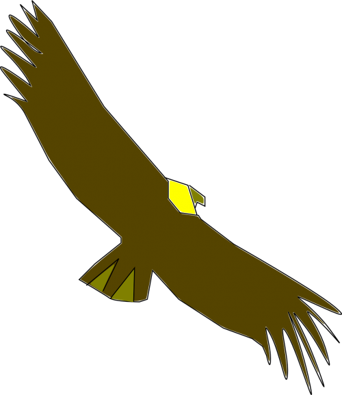 Vulture Vector Hungry - Condor Clip Art (500x577), Png Download