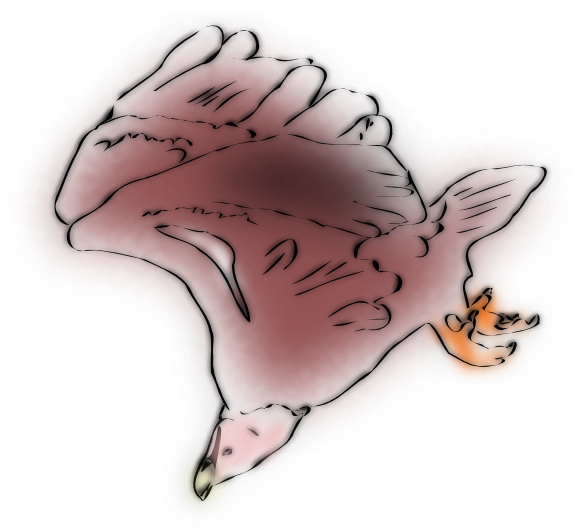 Vulture Svg Clip Arts 600 X 569 Px (600x569), Png Download