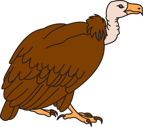 Colored Cartoon Vulture Tattoo On Bicep - Vulture Images Clip Art (600x531), Png Download