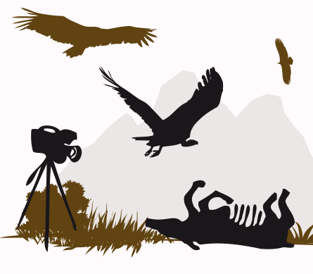 Official Website Lago Di Cornino Natural Reserve - Vulture Silhouette (445x389), Png Download