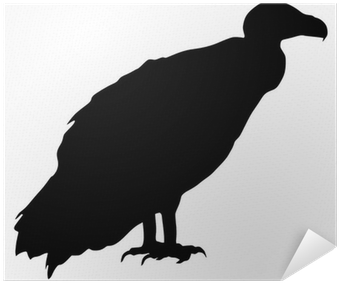 Vulture Silhouette (400x400), Png Download