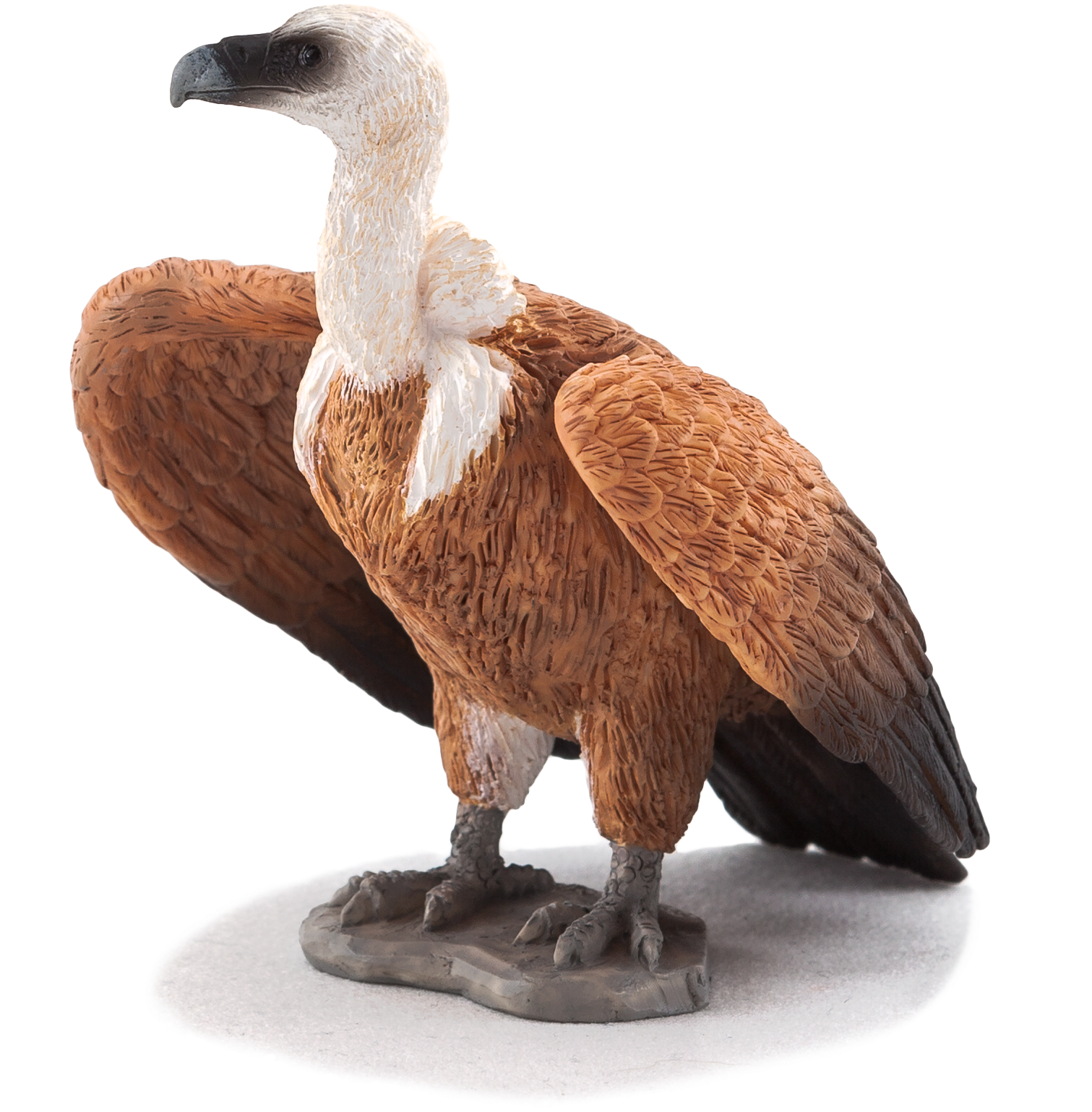 Animal Planet: Griffon Vulture (3299x2199), Png Download