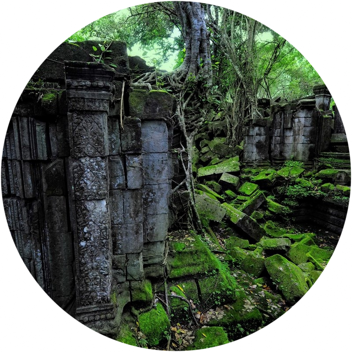 Transient Ruins - Dżungla Ruiny (1200x1200), Png Download