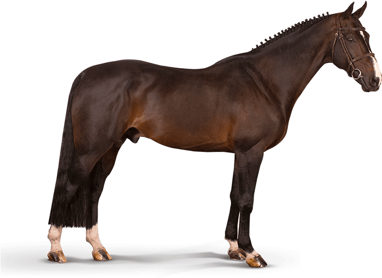 Iceman De Muze - Horse (800x700), Png Download