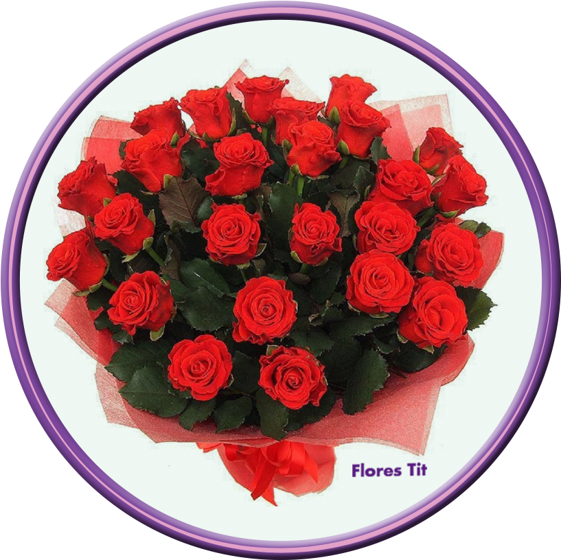 Imagen De Destello - Boa Tarde Irmã Querida (945x945), Png Download