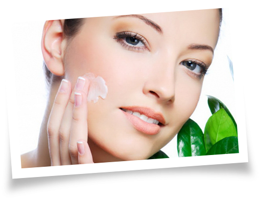 Mogador Argan Oil Night Cream Normal To Dry (550x423), Png Download