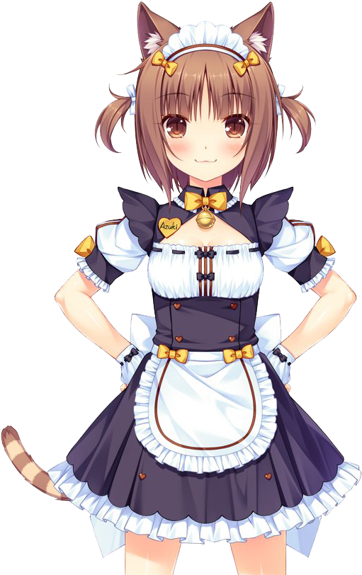 Azuki-maid - Azuki Nekopara (599x815), Png Download