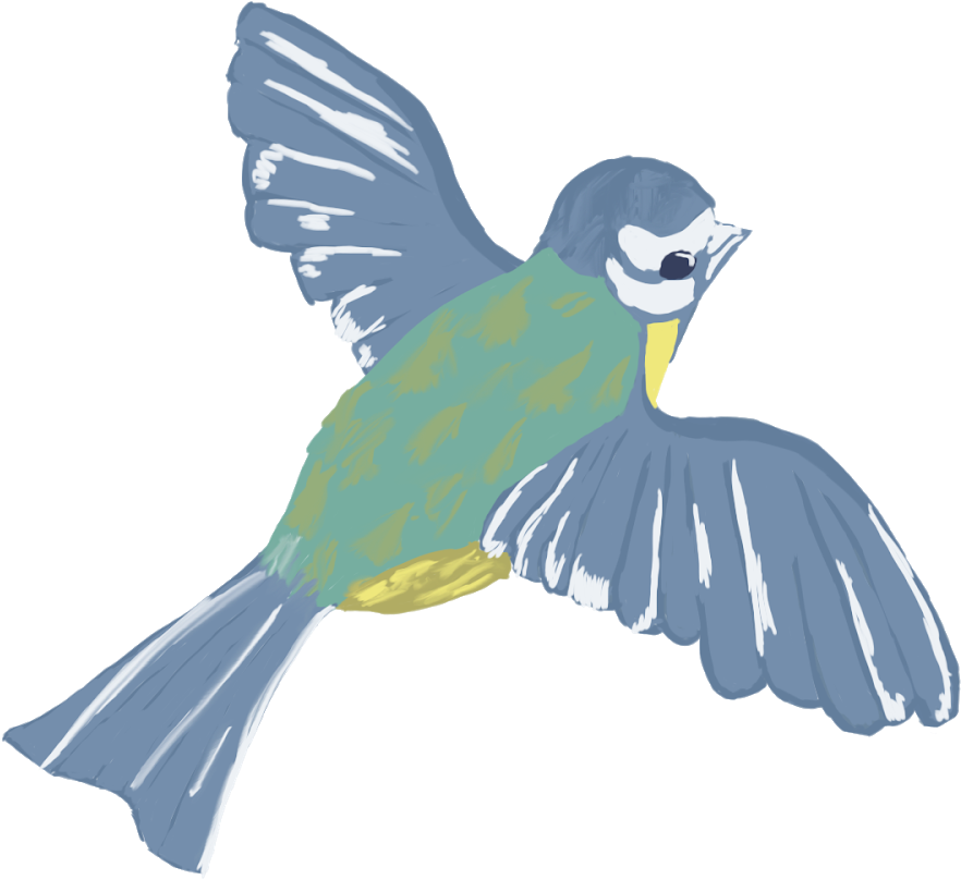 For People From Other Path Than 2d The Task Was To - Chickadee (1600x900), Png Download