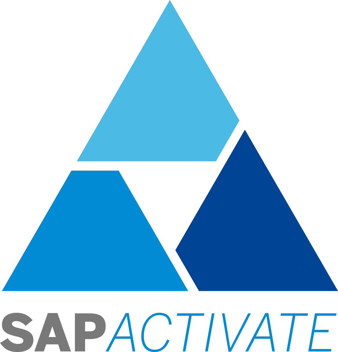 Sap Activate 4 - Sap Activate Png (1128x1175), Png Download