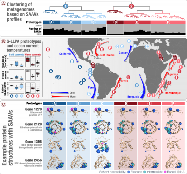 Murat Eren, Department Of Medicine, University Of Chicago - Metagenomics Experimental Design (600x558), Png Download