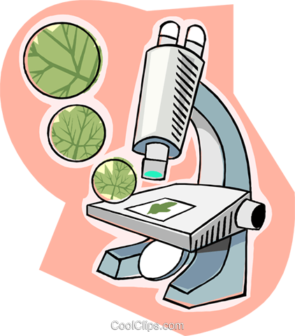 Microscope, Biology Royalty Free Vector Clip Art Illustration - Microscope With Slide Clip Art (422x480), Png Download