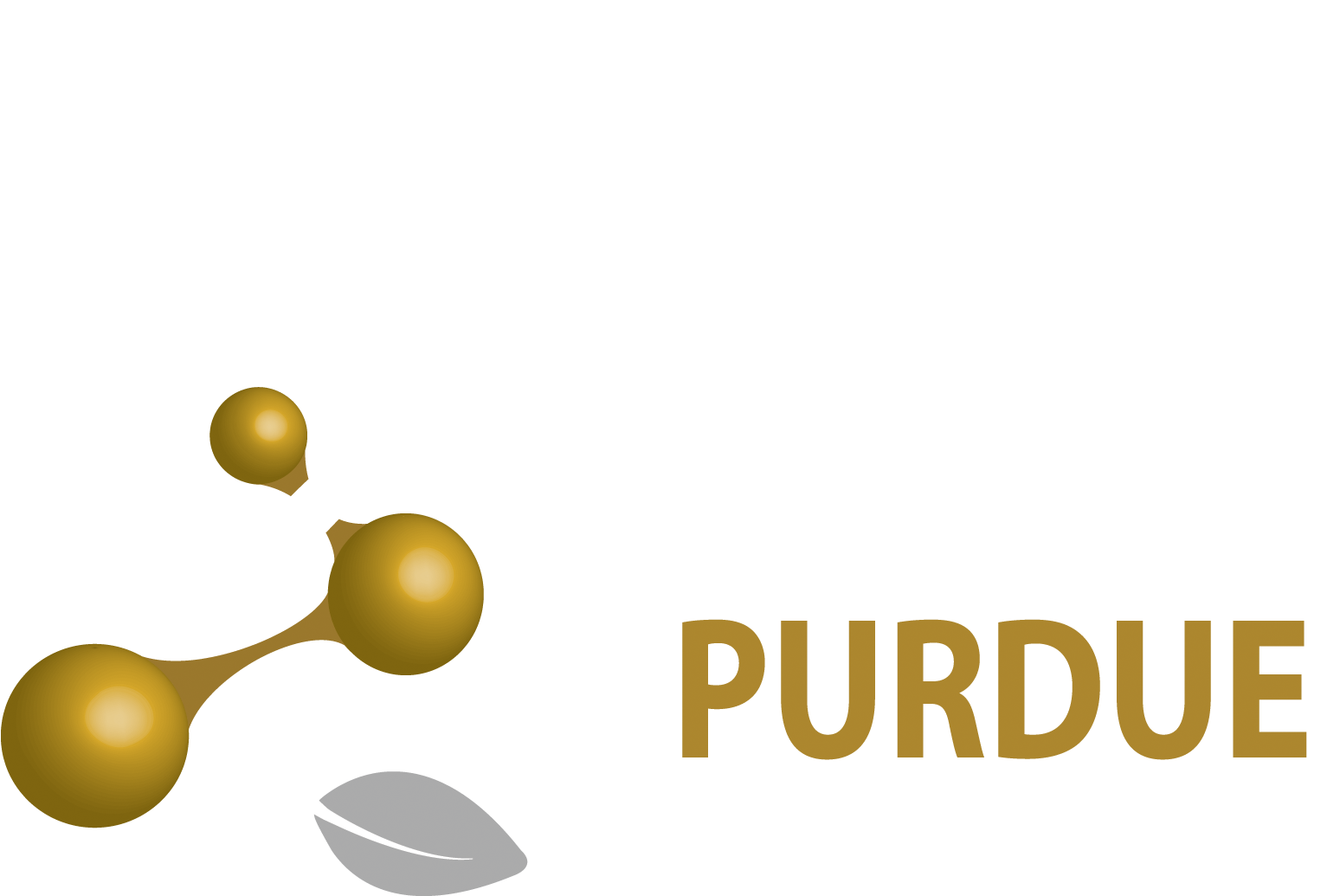 Biological Sciences Logo 2017 Grey Leaf White And Gold-640x423 - Purdue Biology (1564x1034), Png Download