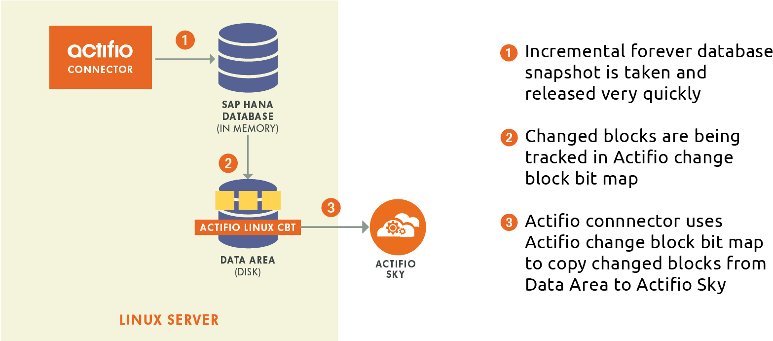 Actifio For Sap Hana - Actifio (1701x692), Png Download